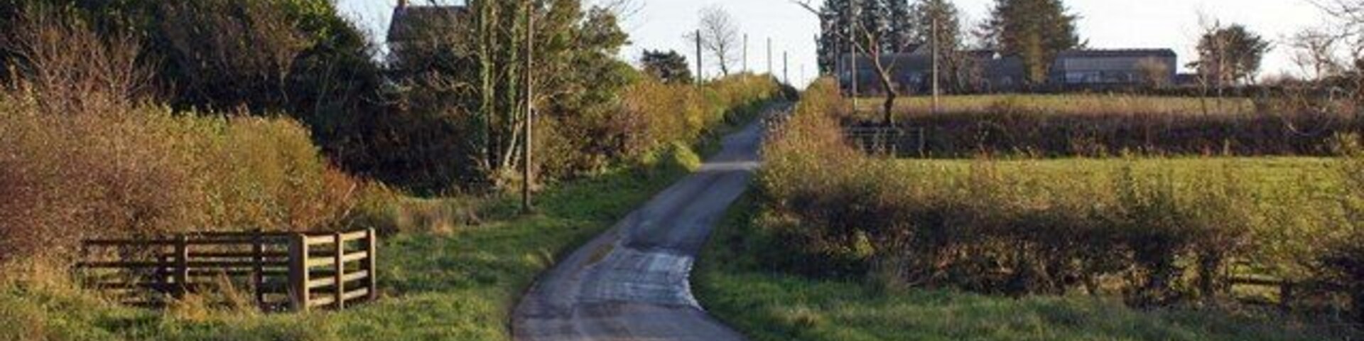 Lane near Coynant, Aber-nant