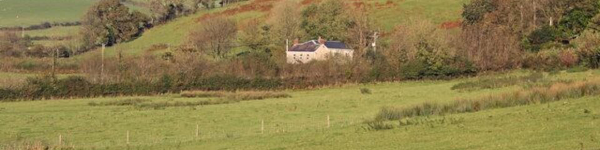 Field near Pentre-goch, Meidrim