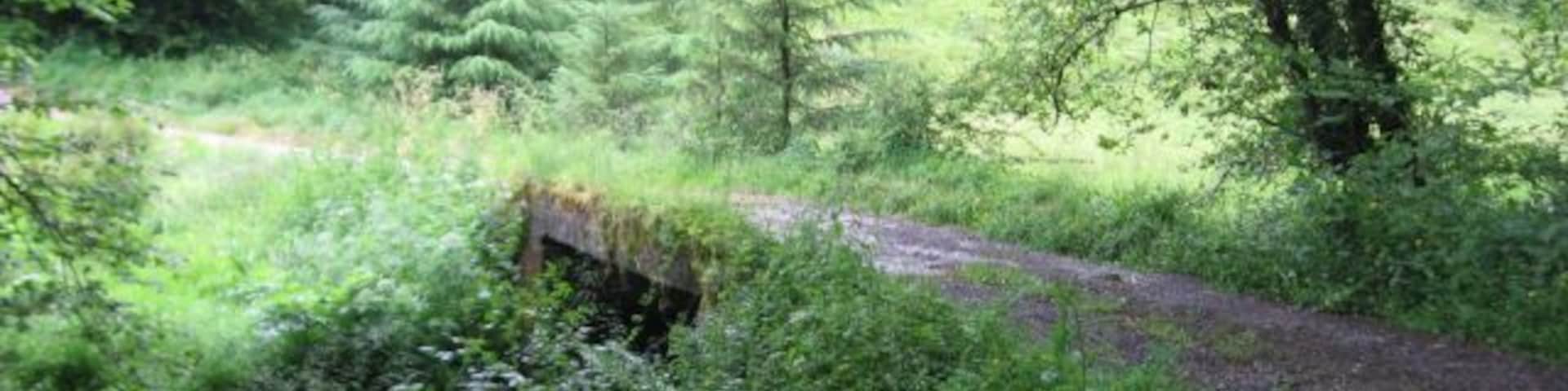 Farm track bridge over tributary of Nant Cynnen
