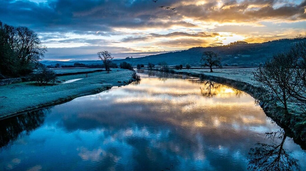 By Dryslwyn castle, on the bridge