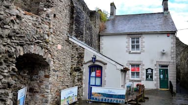 Carmarthen Castle is a ruined castle in Carmarthen, West Wales, UK. First built by Walter, Sheriff of Gloucester in the early 1100s, the castle was captured and destroyed on several occasions before being rebuilt in stone during the 1190s