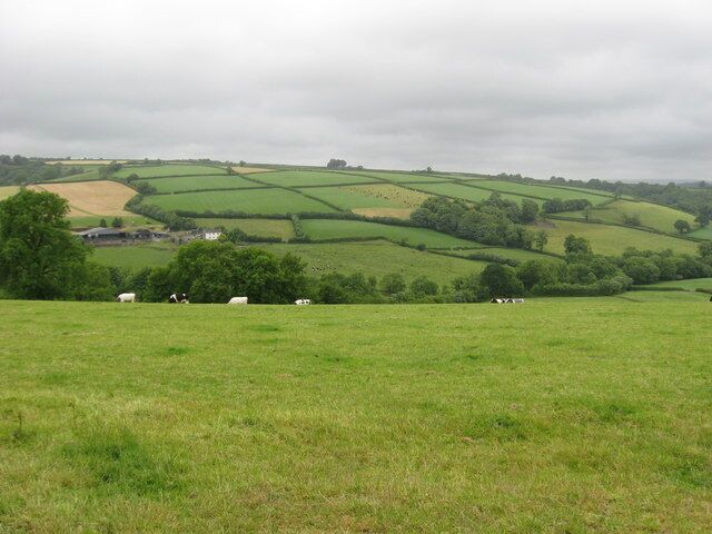 A green field with rolling hills and scattered sheep.