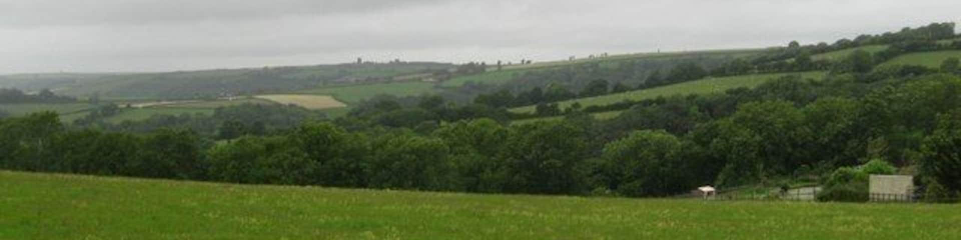 Field and wooded valley
