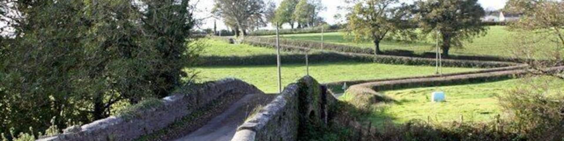 Bridge over Afon Dewi Fach near Felin Fach, Llanfihangel Abercywyn