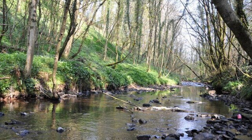 Afon y Bantwen - Cwmysfael A tributary of the Gwendraeth fach.
