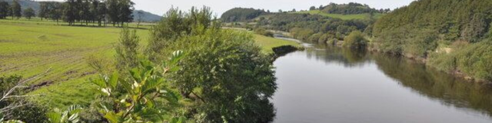 The River Towy west of Cilsan Bridge