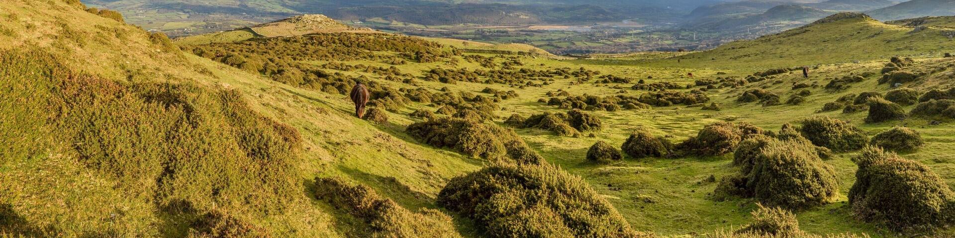 Caer Bach hillfort, in its situation above the Conwy valley.