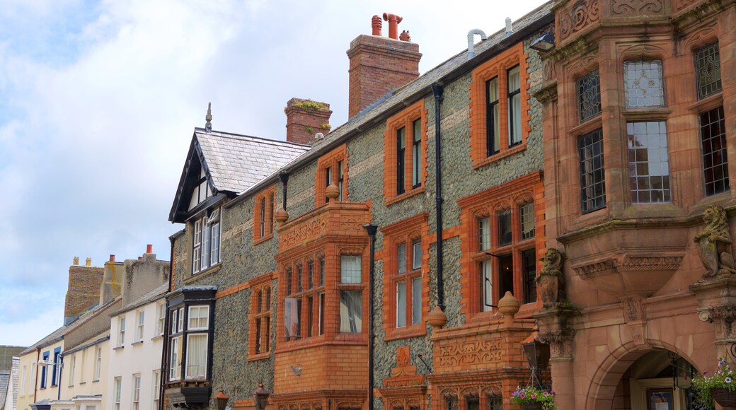 Conwy showing street scenes and heritage elements