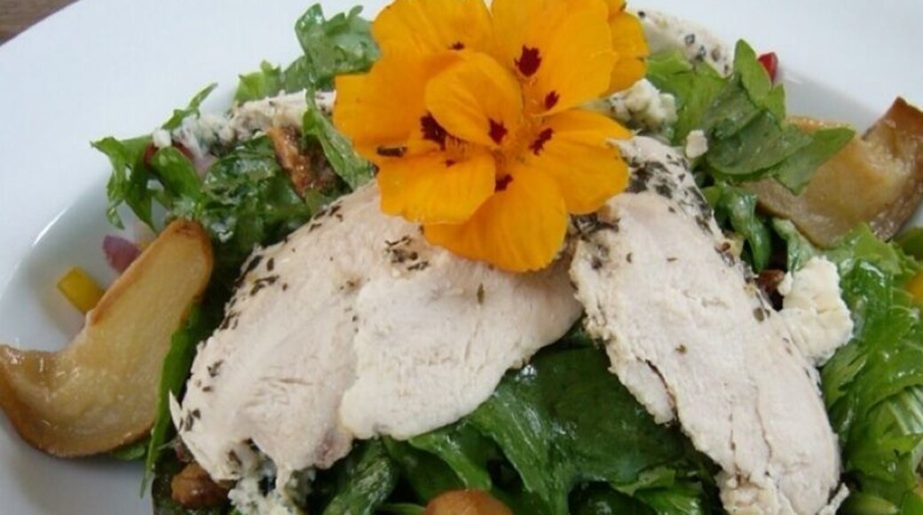 On a day visiting Marlborough NZ wineries, Allan Scott winery cafe makes a nice lunch stop. Its wines are available in the US.