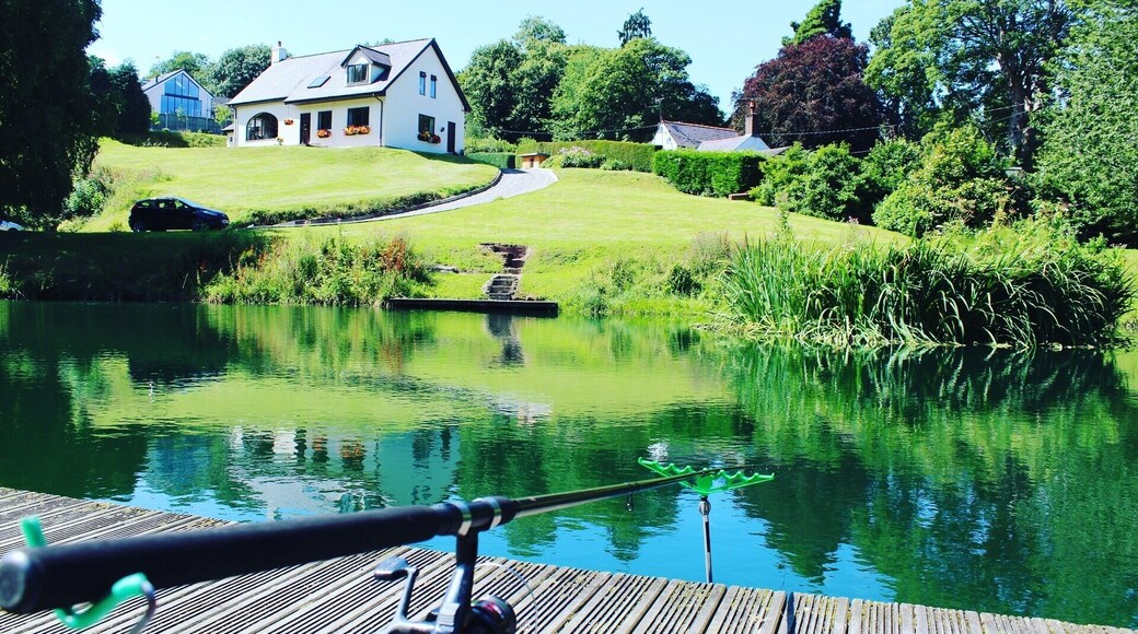 Day fishing 🎣 🐟📷 #fishing #pond #beauty