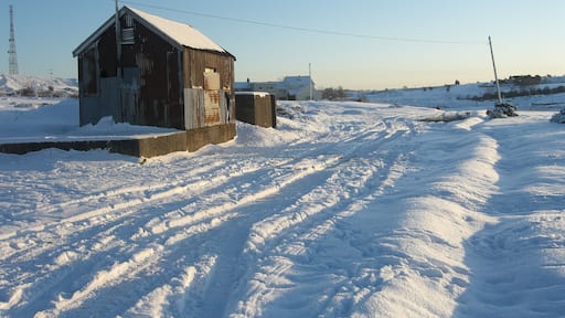 Tin shed and snow 200 mm of Snow and then some on Halkyn Common, Pant Quarry to the right of the photograph. The snow flakes had grown to a spectacular size, and it was jolly cold too.