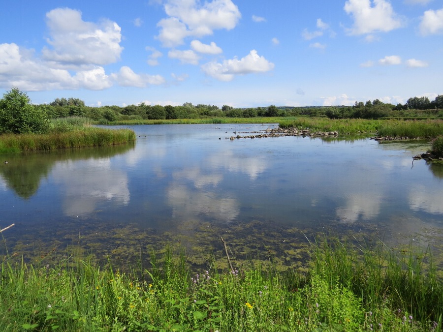 A calm lake surrounded by lush greenery and trees under a clear blue sky.