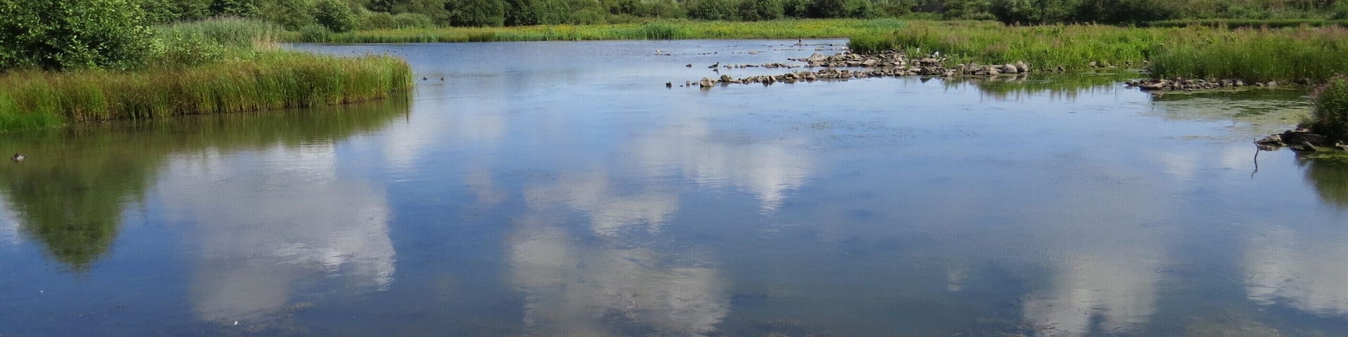 Canolfan Gwlyptir WWT Llanelli