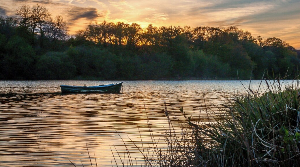 There is something quite special about calm water at sunset and the focus of the moored rowing boat gently swaying in the light breeze.