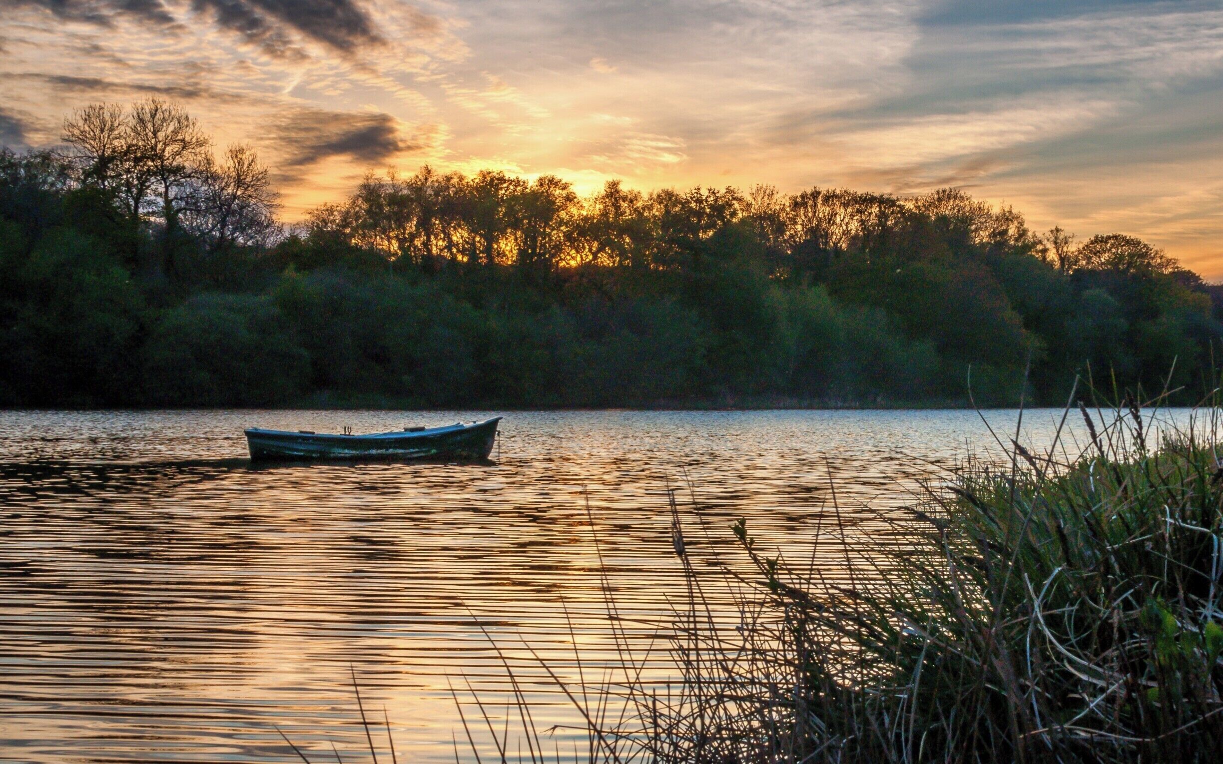 A calm lake with a small boat, surrounded by dense trees and reeds.