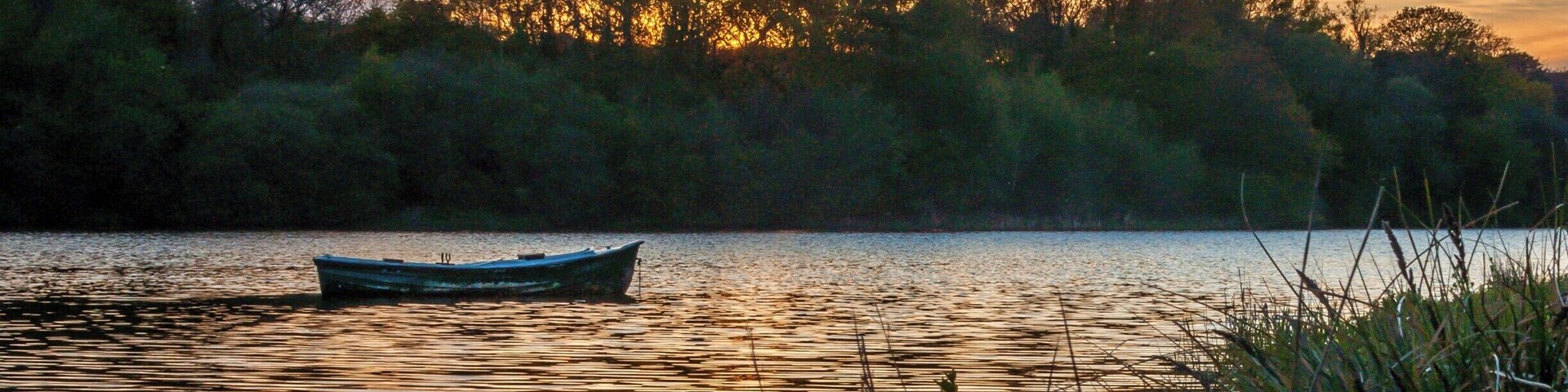 A calm lake with a small boat, surrounded by dense trees and reeds.