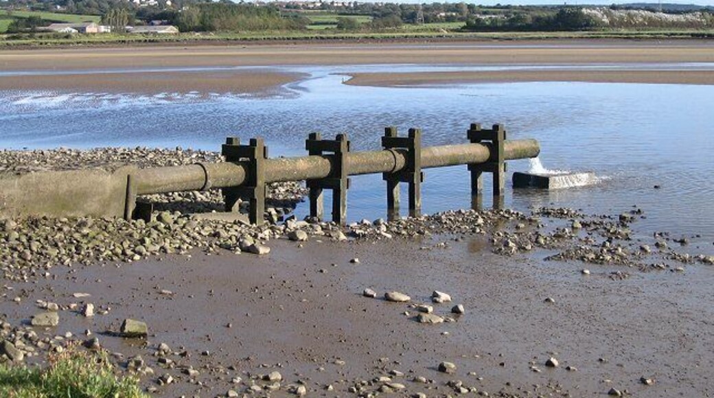Outlet near Llangennech sewage works The water spilling from the end of the pipe into the Loughor estuary looks quite clean.