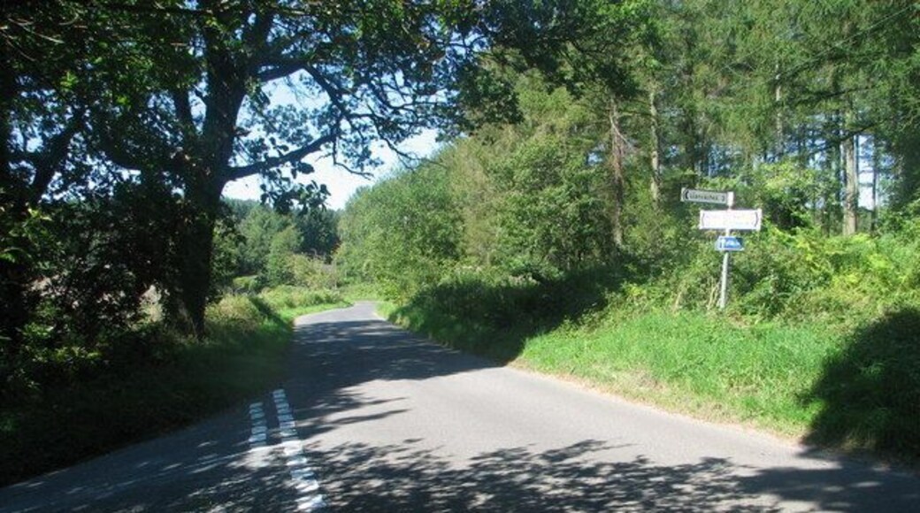 A narrow rural road flanked by dense greenery and trees.