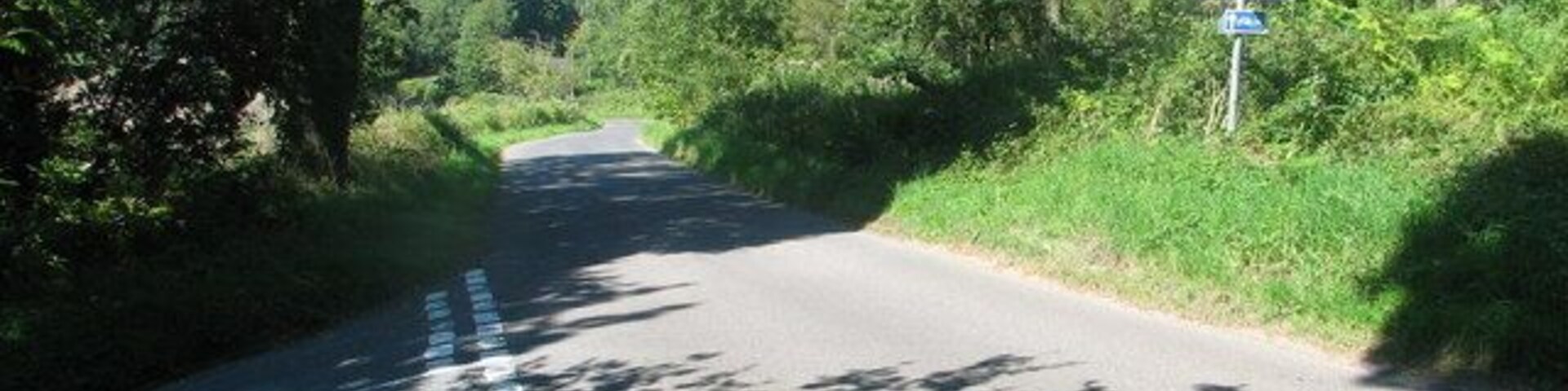 Uma estrada rural estreita ladeada por vegetação densa e árvores.