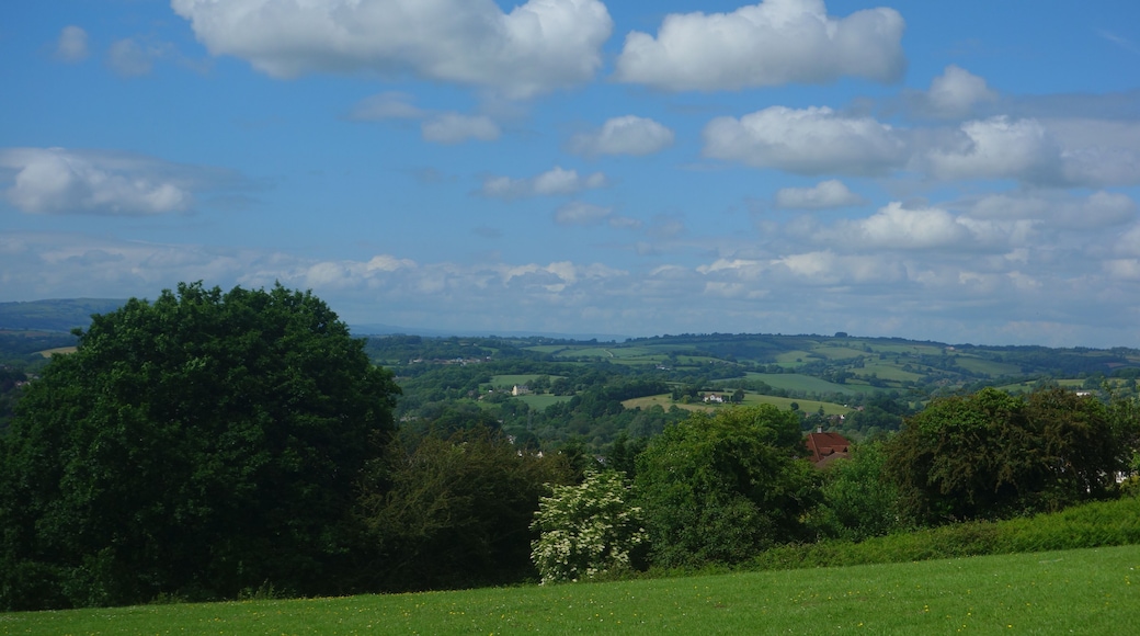 This is a photo of listed building number
