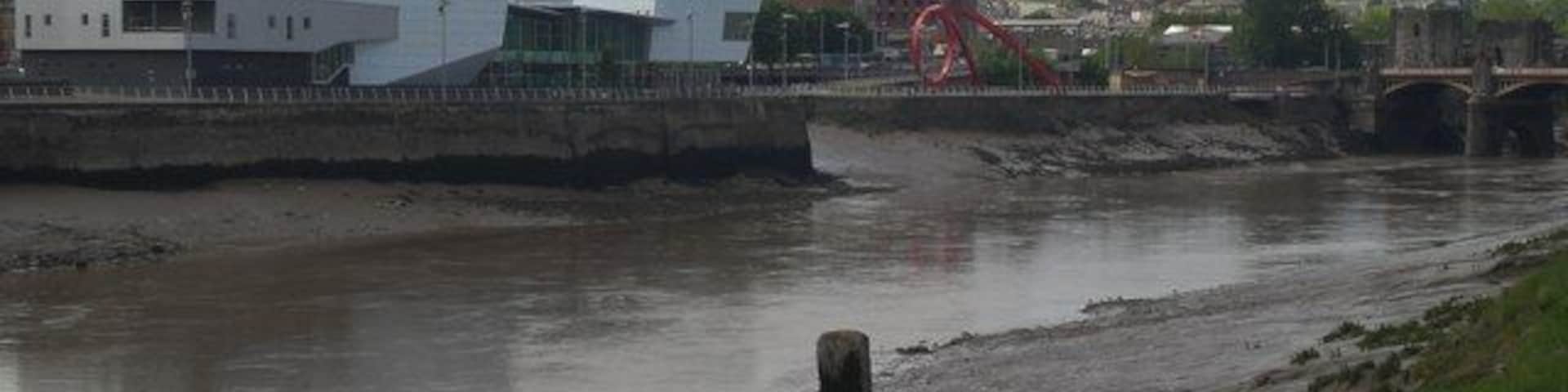 Riverfront Theatre and the west bank of the Usk Also showing the Steel Wave, Newport Bridge and a lot of Usk mud, this picture was taken from the east side of the footbridge