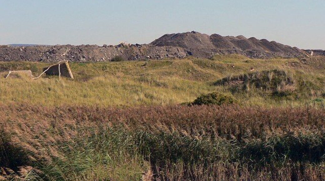 Tip and reed bed at Margam steelworks The steelworks borders Margam Burrows and a reed bed at this point. It is here that spoil from the works processes are dumped.