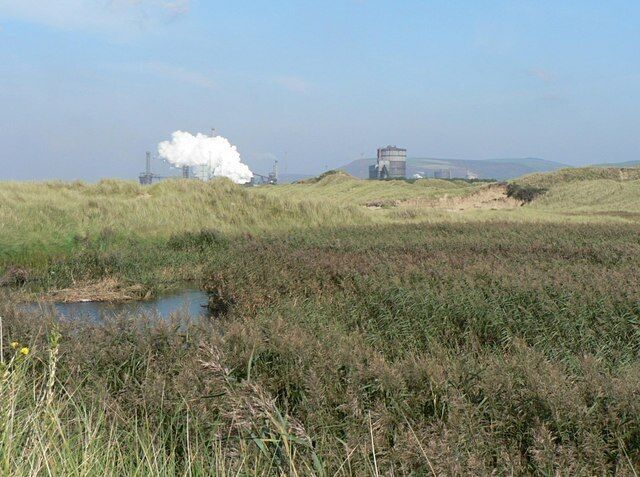 Reed bed on the north side of Margam Moors