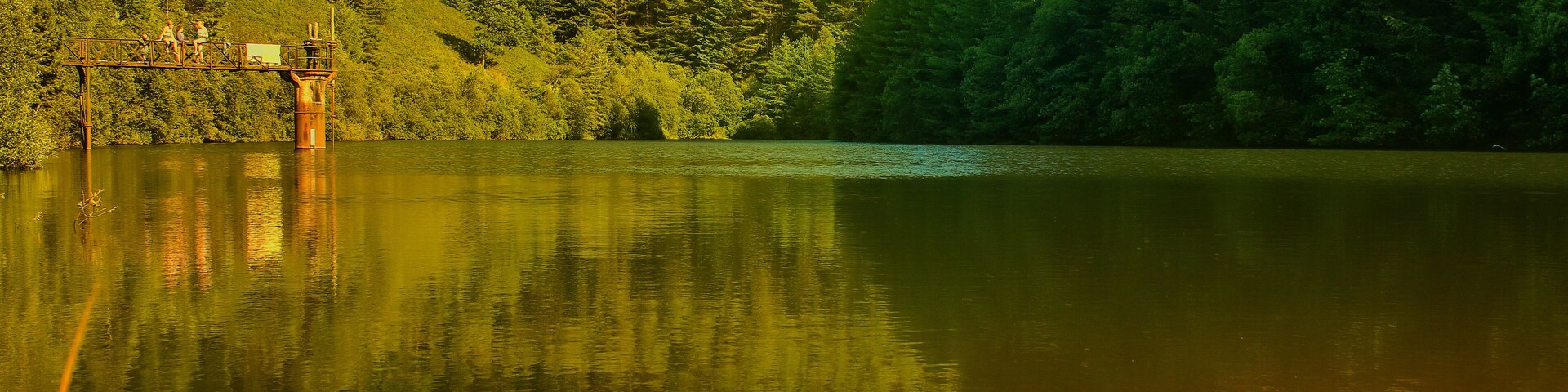 Um lago tranquilo com reflexos nítidos, rodeado por uma floresta densa e uma ponte de madeira.