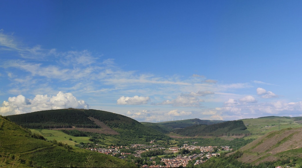 Cwmavon Panorama from Mynydd Dinas