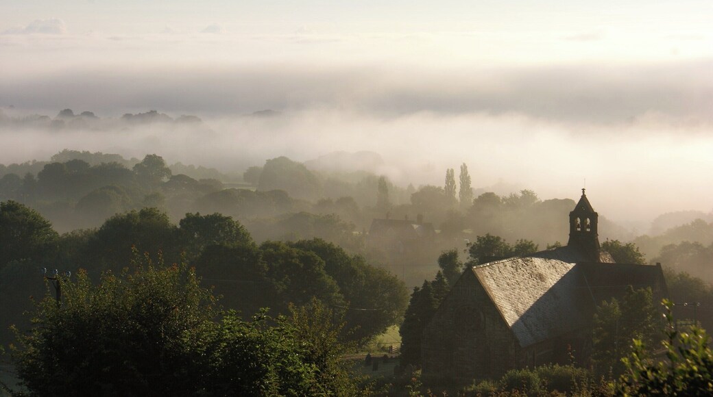 Misty morning from our garden