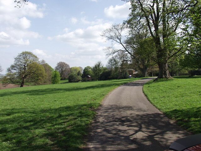 A rural road curving through a green field with trees on either side.