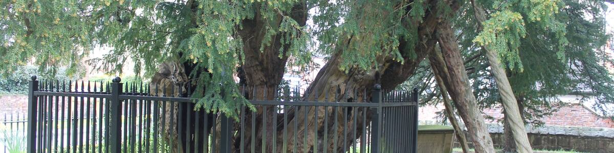 This is a photo of listed building number