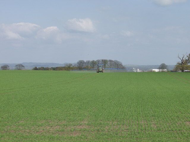 A vast green field with a tractor in the distance, a clear sky, and a few trees and buildings in the background.