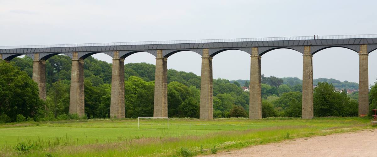 Wrexham showing a bridge