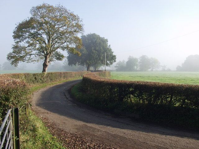 Track leading to Dongray Hall Early morning mist in the valley is burning off. Look at those hedges and great trees.