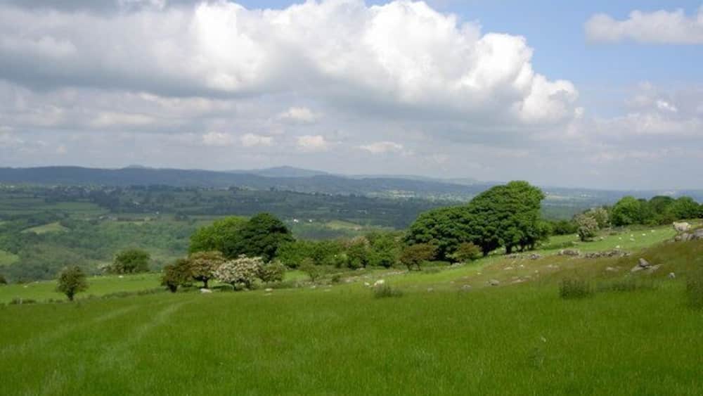 Une colline verdoyante, parsemée d’arbres, d’où l’on aperçoit au loin des collines ondoyantes sous un ciel partiellement nuageux.