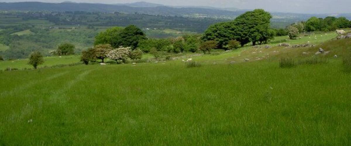 A grassy hillside with scattered trees and a distant view of rolling hills under a partly cloudy sky.