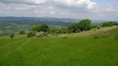 Uma encosta gramada com árvores dispersas e uma vista distante de colinas ondulantes sob um céu parcialmente nublado.