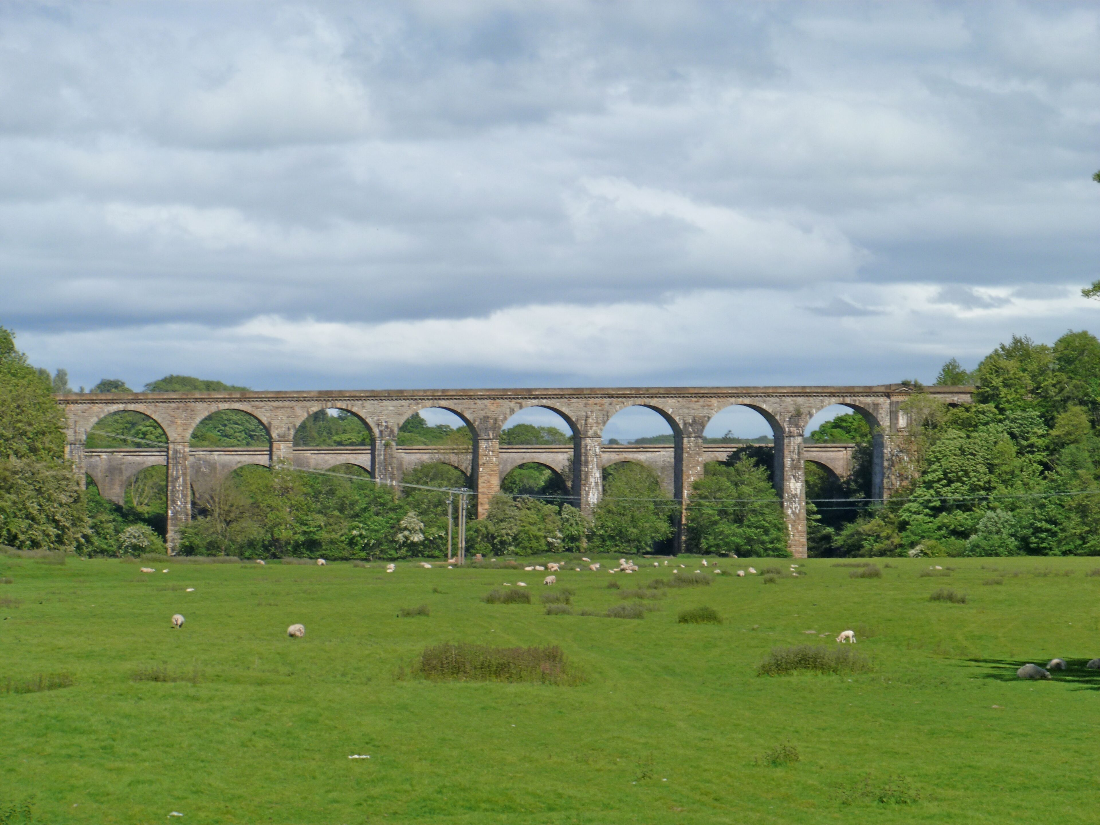 Um viaduto de pedra com várias arcos atravessa um campo verde onde ovelhas pastam.