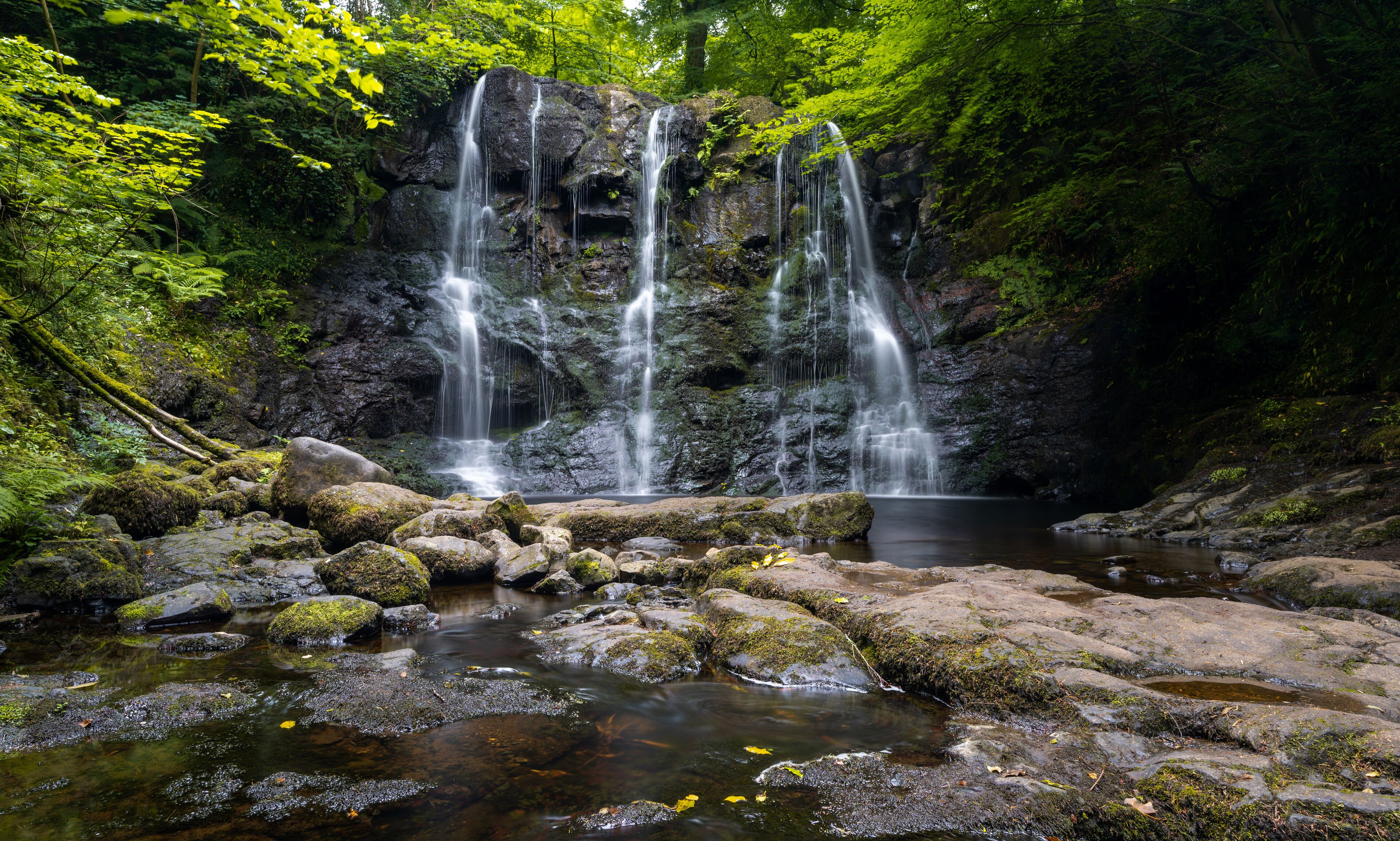 Una cascada se precipita sobre rocas cubiertas de musgo en un arroyo cristalino rodeado de abundante vegetación verde.