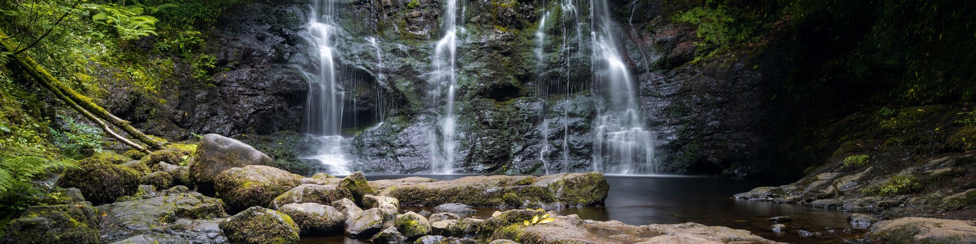 Una cascada se precipita sobre rocas cubiertas de musgo en un arroyo cristalino rodeado de abundante vegetación verde.