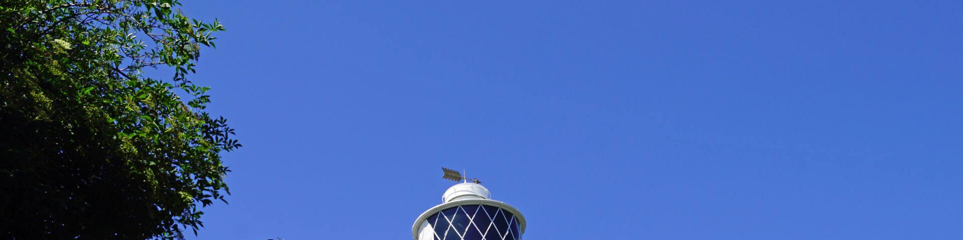 A lighthouse with a white tower and a black top, surrounded by greenery and a clear blue sky.