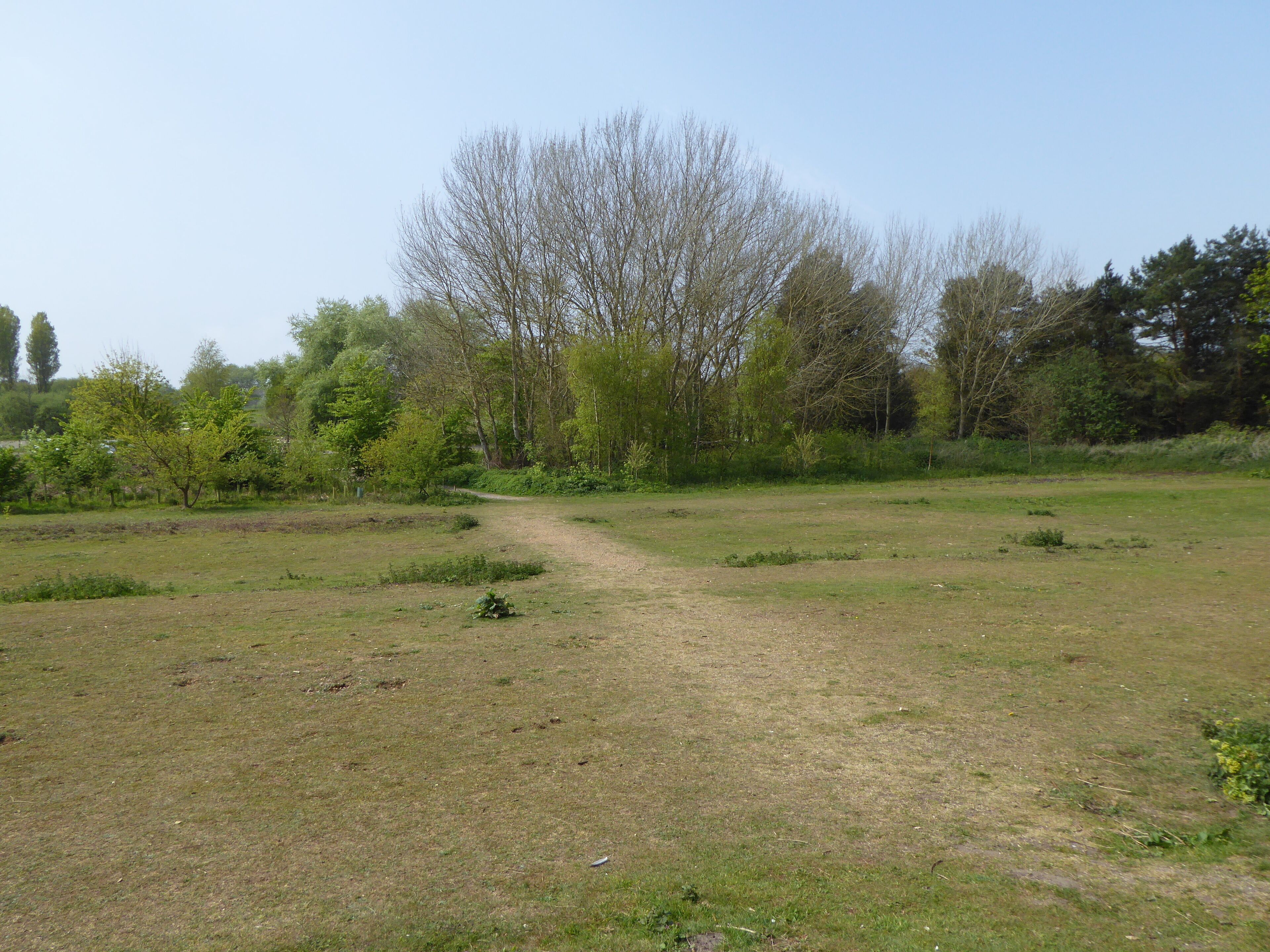 Corton Woods is part of the Gunton Warren and Corton Woods Local Nature Reserve in Lowestoft in Suffolk.