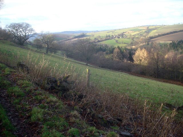 Teme Gorge slopes Looking west along the gorge. The small village of Downton on the Rock on the opposite side of the gorge.