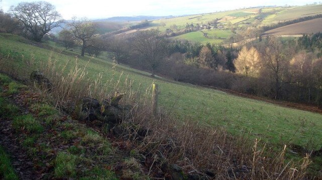 Teme Gorge slopes Looking west along the gorge. The small village of Downton on the Rock on the opposite side of the gorge.