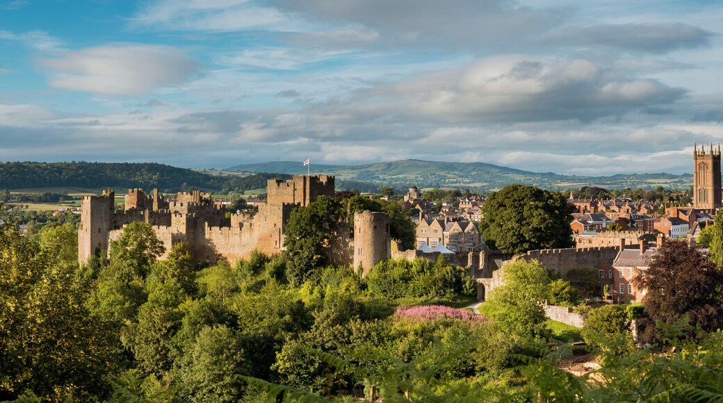 Ludlow