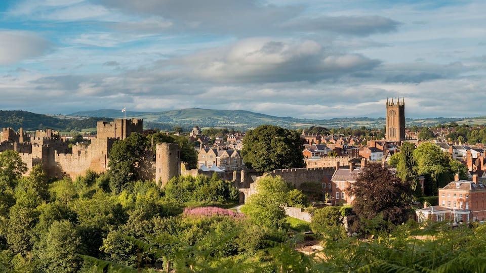 A historic castle surrounded by lush greenery and a town with red-roofed buildings.