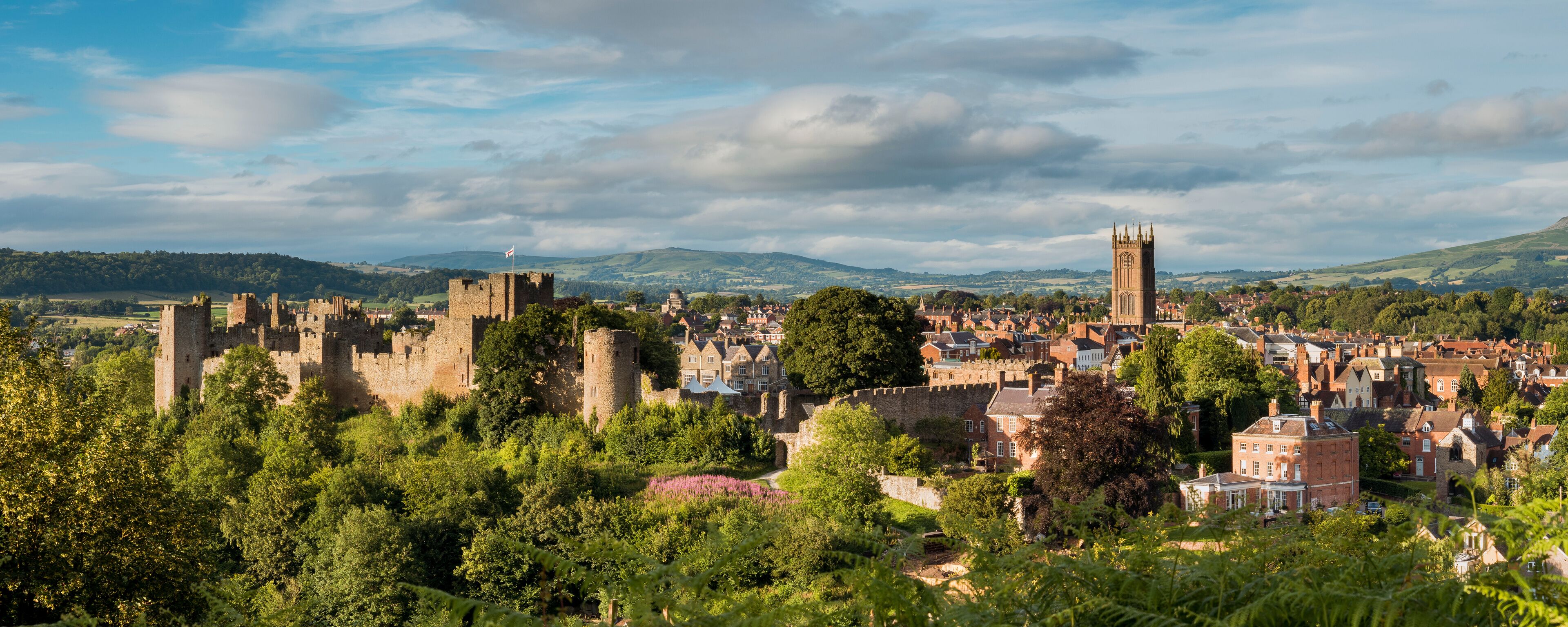 A historic castle surrounded by lush greenery and a town with red-roofed buildings.