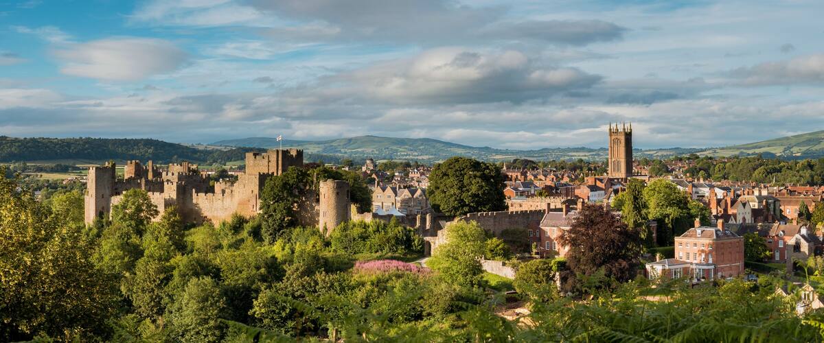 A historic castle surrounded by lush greenery and a town with red-roofed buildings.