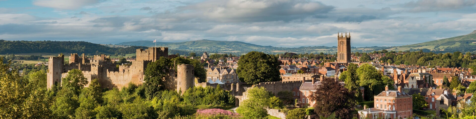 A historic castle surrounded by lush greenery and a town with red-roofed buildings.